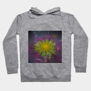 Abstract flower fractal Hoodie